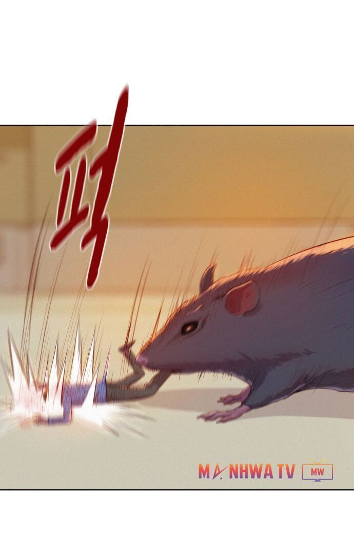 Thợ Săn 3 CM Chapter 2 - Trang 2