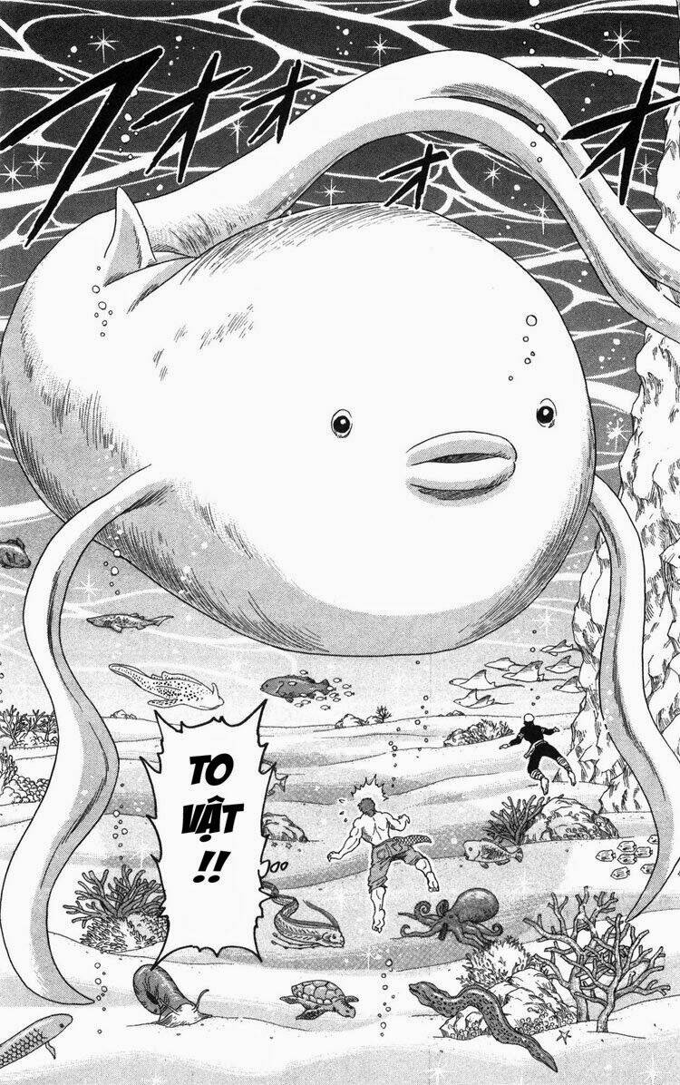 Thợ Săn Ẩm Thực Chapter 15 - Trang 2