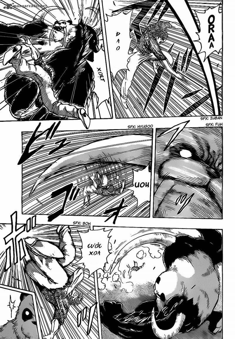 Thợ Săn Ẩm Thực Chapter 167 - Trang 2