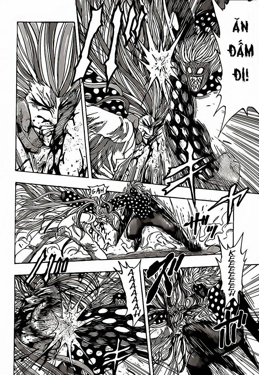 Thợ Săn Ẩm Thực Chapter 226 - Trang 2