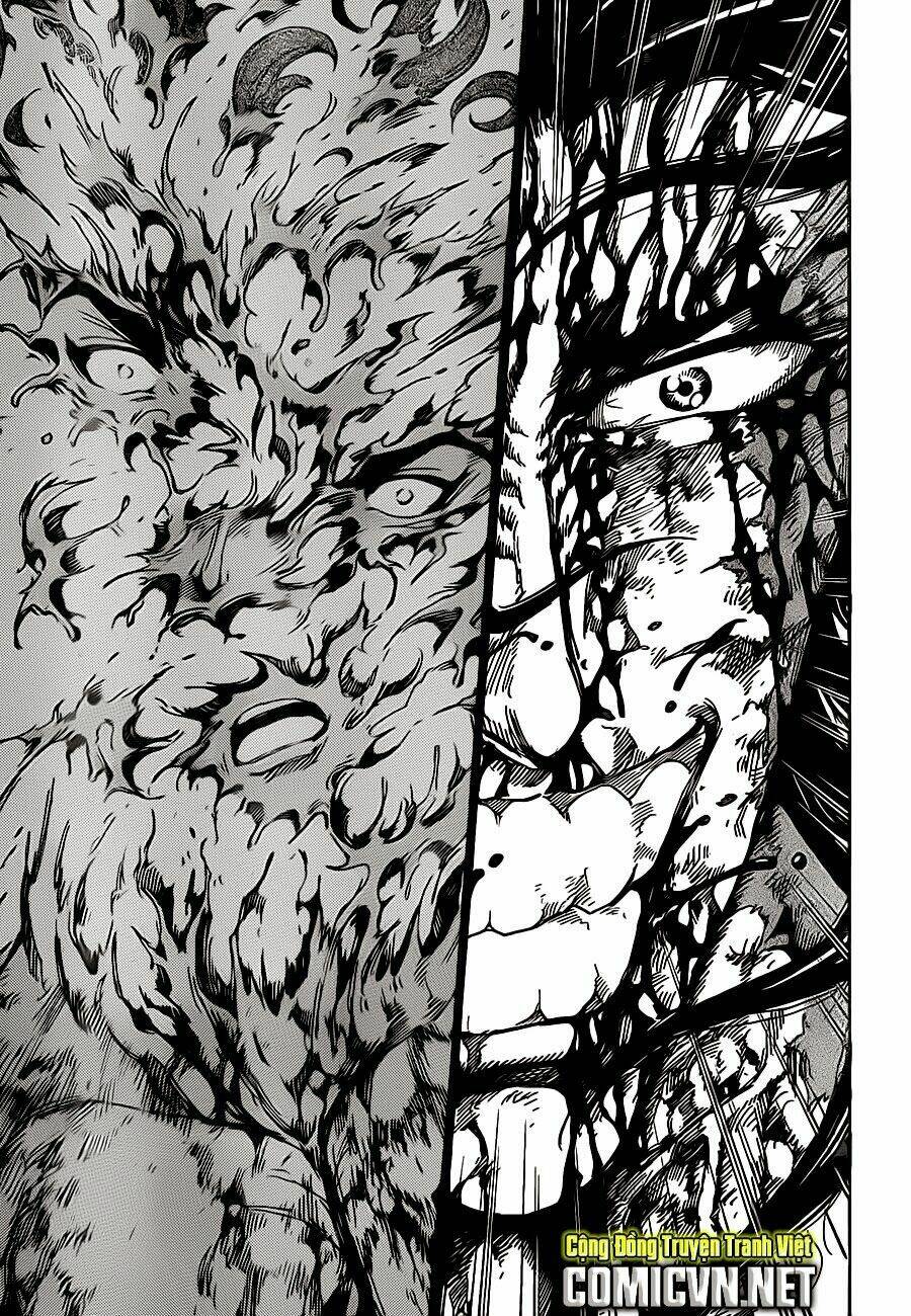 Thợ Săn Ẩm Thực Chapter 238 - Trang 2
