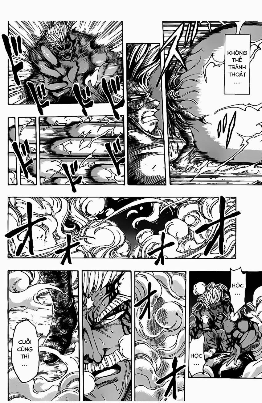 Thợ Săn Ẩm Thực Chapter 254 - Trang 2