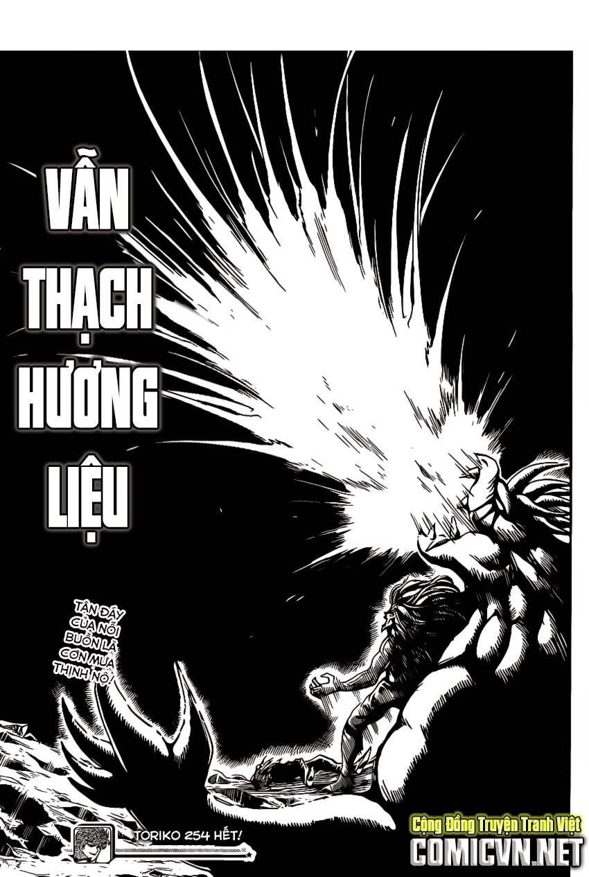 Thợ Săn Ẩm Thực Chapter 254 - Trang 2