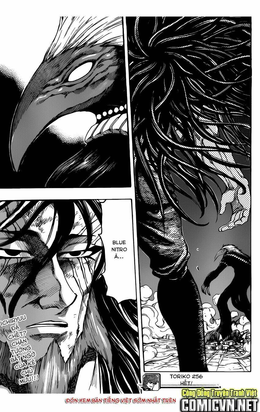Thợ Săn Ẩm Thực Chapter 256 - Trang 2