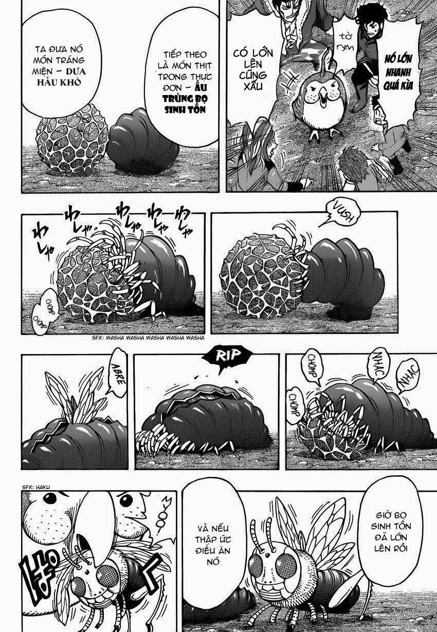 Thợ Săn Ẩm Thực Chapter 267 - Trang 2