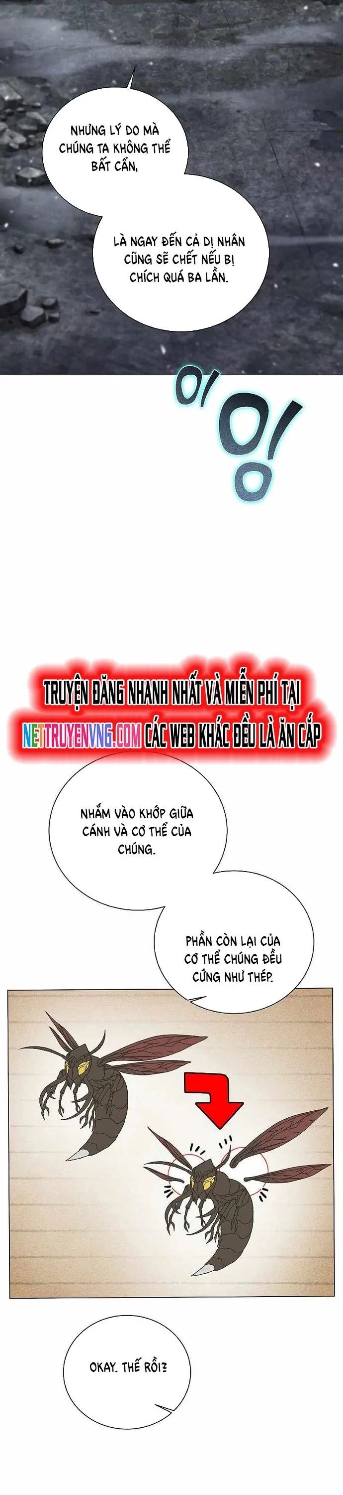 Thợ Săn Ăn Thịt Người Chapter 42 - Trang 2