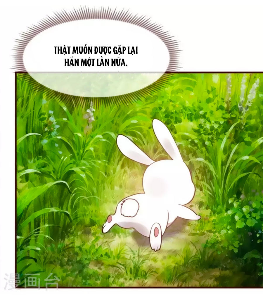 Thỏ Yêu Tiểu Vương Phi Chapter 1 - Trang 2