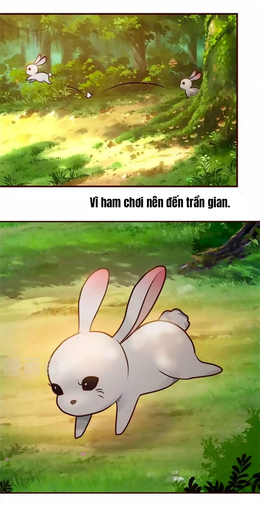 Thỏ Yêu Tiểu Vương Phi Chapter 1 - Trang 2