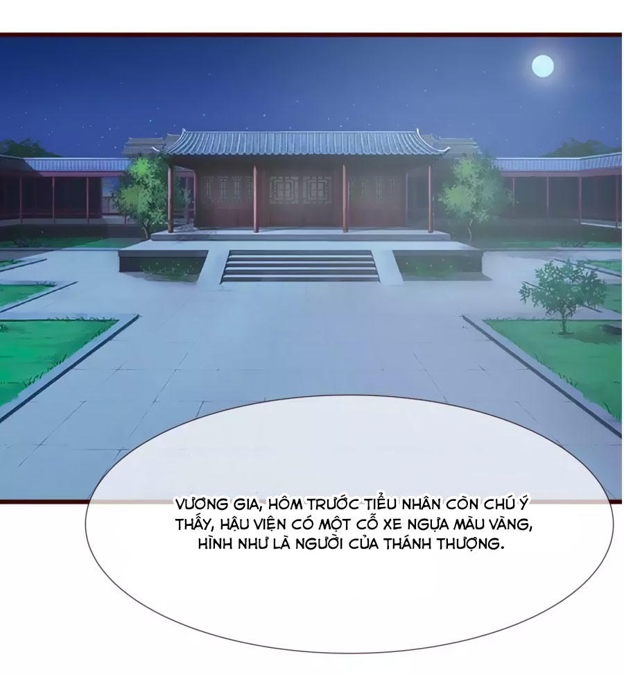 Thỏ Yêu Tiểu Vương Phi Chapter 16 - Trang 2