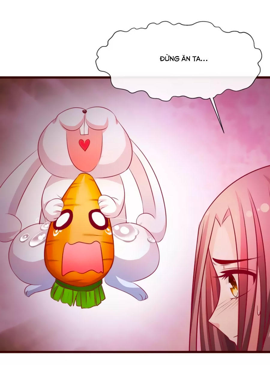 Thỏ Yêu Tiểu Vương Phi Chapter 18 - Trang 2