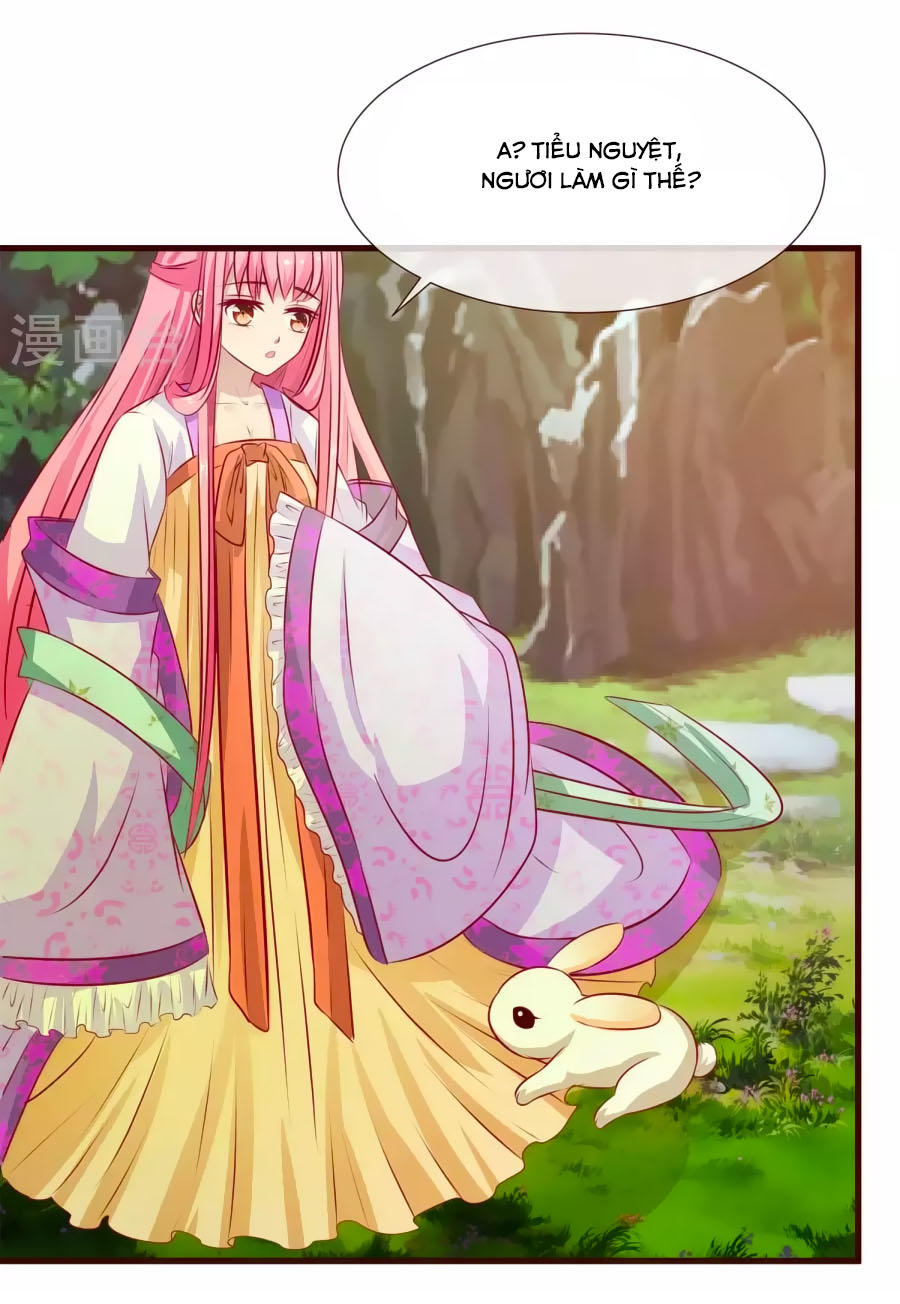 Thỏ Yêu Tiểu Vương Phi Chapter 18 - Trang 2