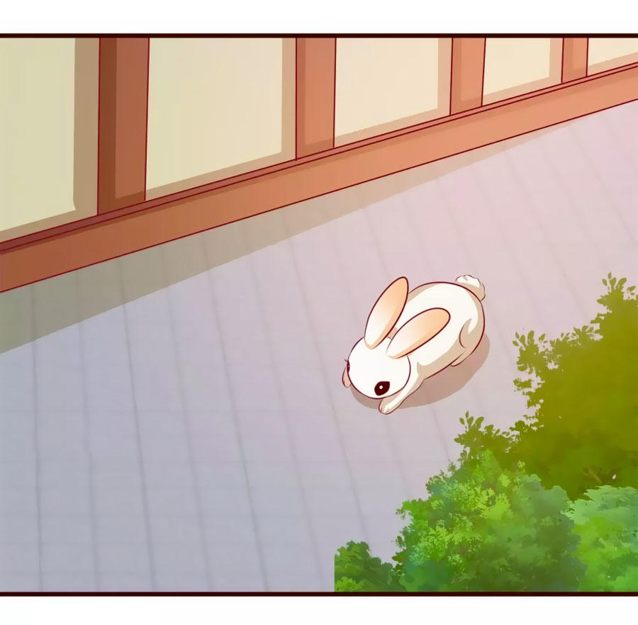 Thỏ Yêu Tiểu Vương Phi Chapter 18 - Trang 2