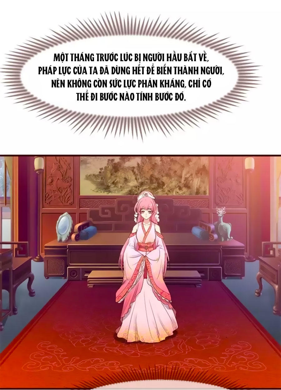 Thỏ Yêu Tiểu Vương Phi Chapter 2 - Trang 2