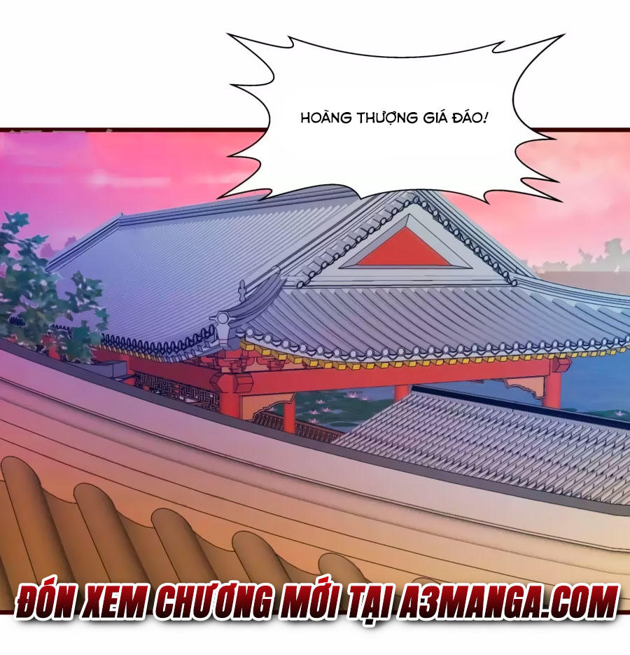 Thỏ Yêu Tiểu Vương Phi Chapter 25 - Trang 2