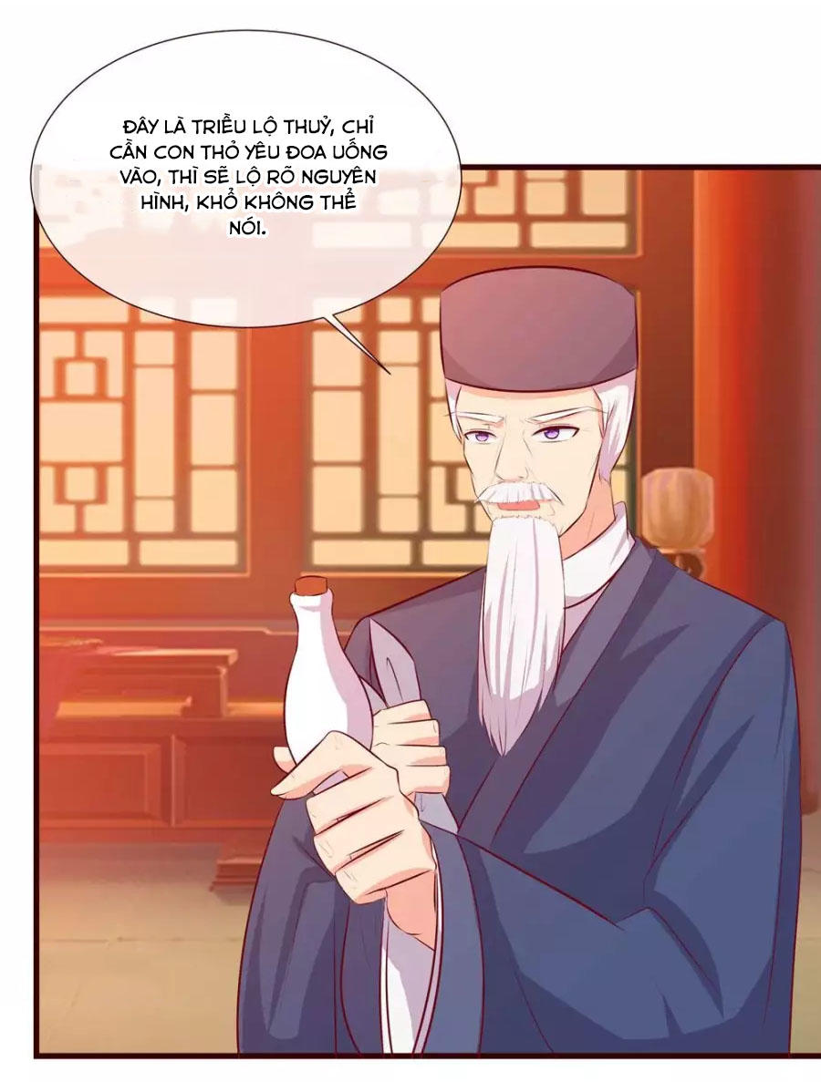 Thỏ Yêu Tiểu Vương Phi Chapter 26 - Trang 2