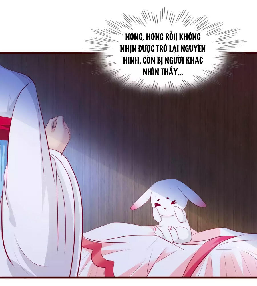 Thỏ Yêu Tiểu Vương Phi Chapter 31 - Trang 2