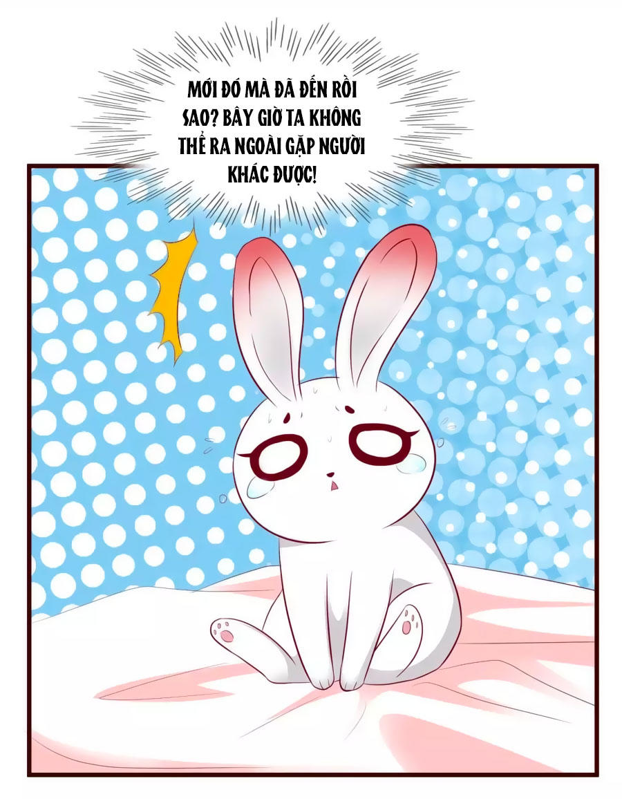 Thỏ Yêu Tiểu Vương Phi Chapter 31 - Trang 2