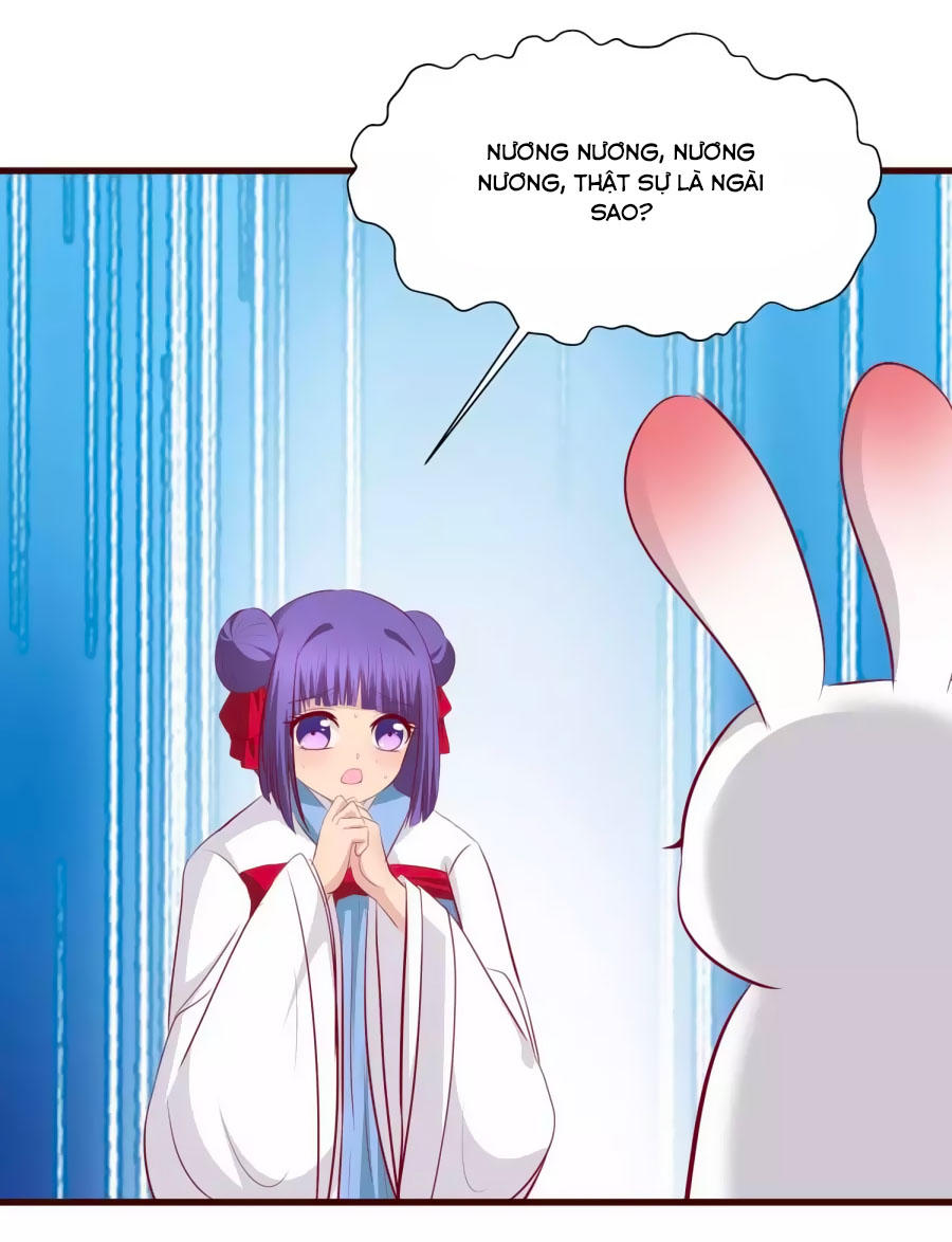 Thỏ Yêu Tiểu Vương Phi Chapter 31 - Trang 2