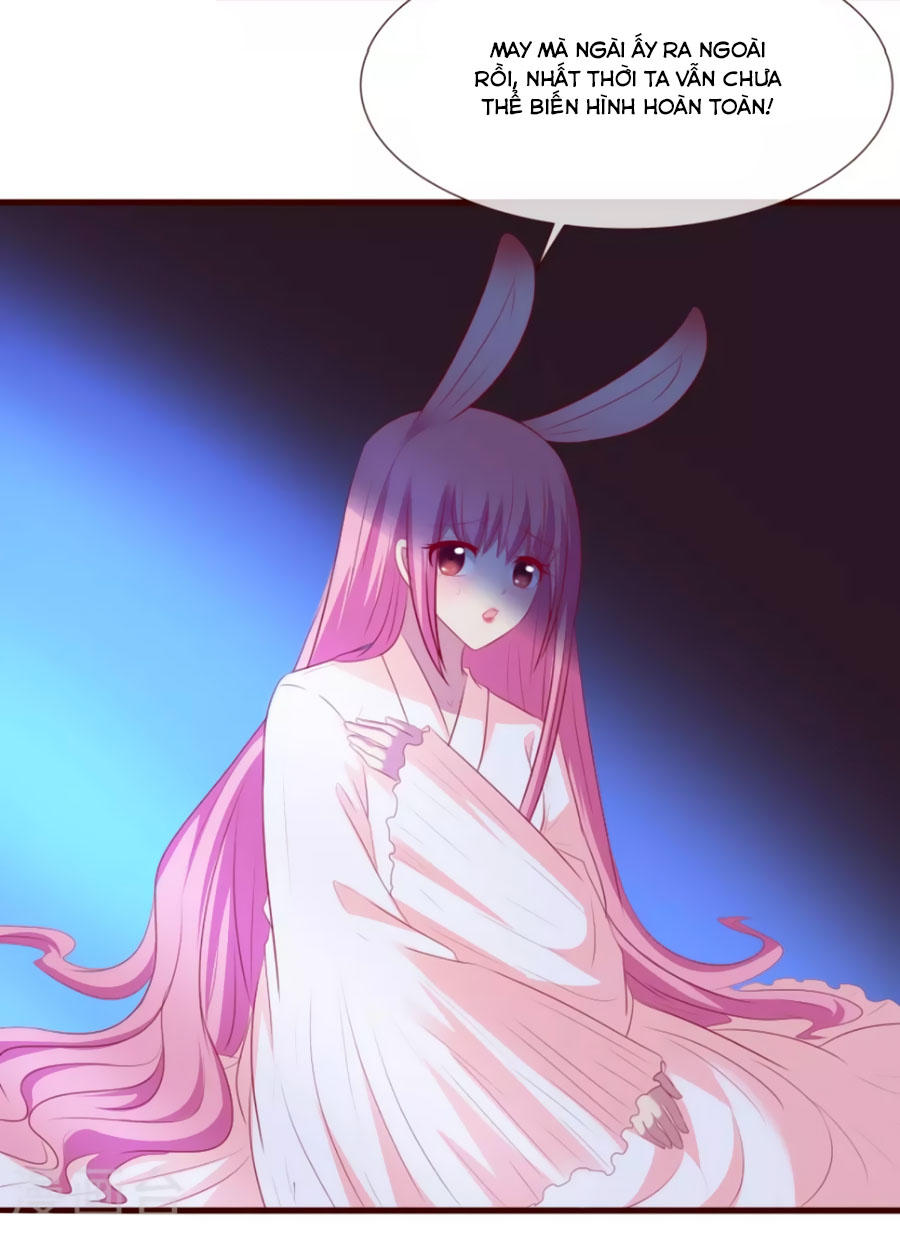 Thỏ Yêu Tiểu Vương Phi Chapter 32 - Trang 2