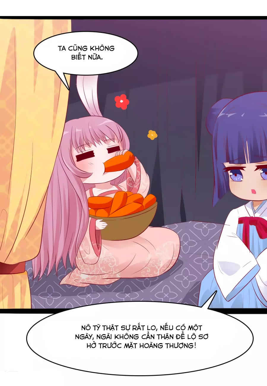 Thỏ Yêu Tiểu Vương Phi Chapter 34 - Trang 2