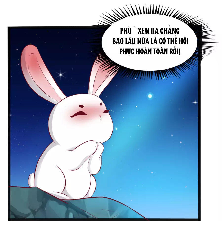 Thỏ Yêu Tiểu Vương Phi Chapter 35 - Trang 2
