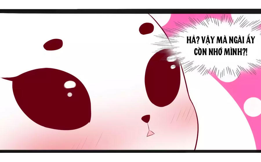 Thỏ Yêu Tiểu Vương Phi Chapter 36 - Trang 2