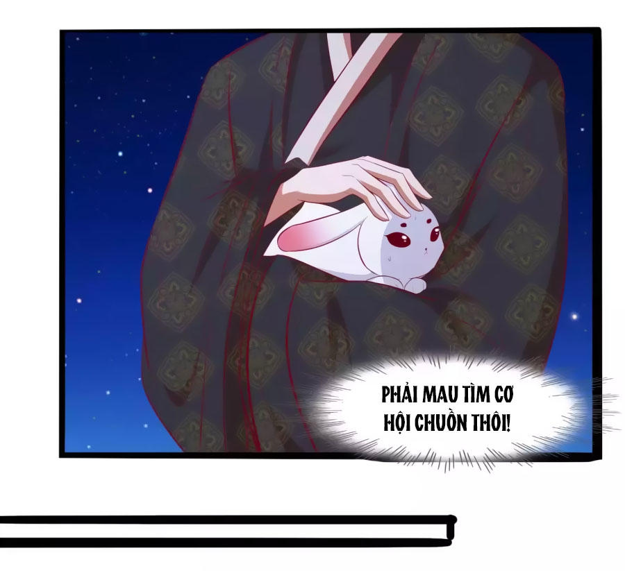 Thỏ Yêu Tiểu Vương Phi Chapter 36 - Trang 2