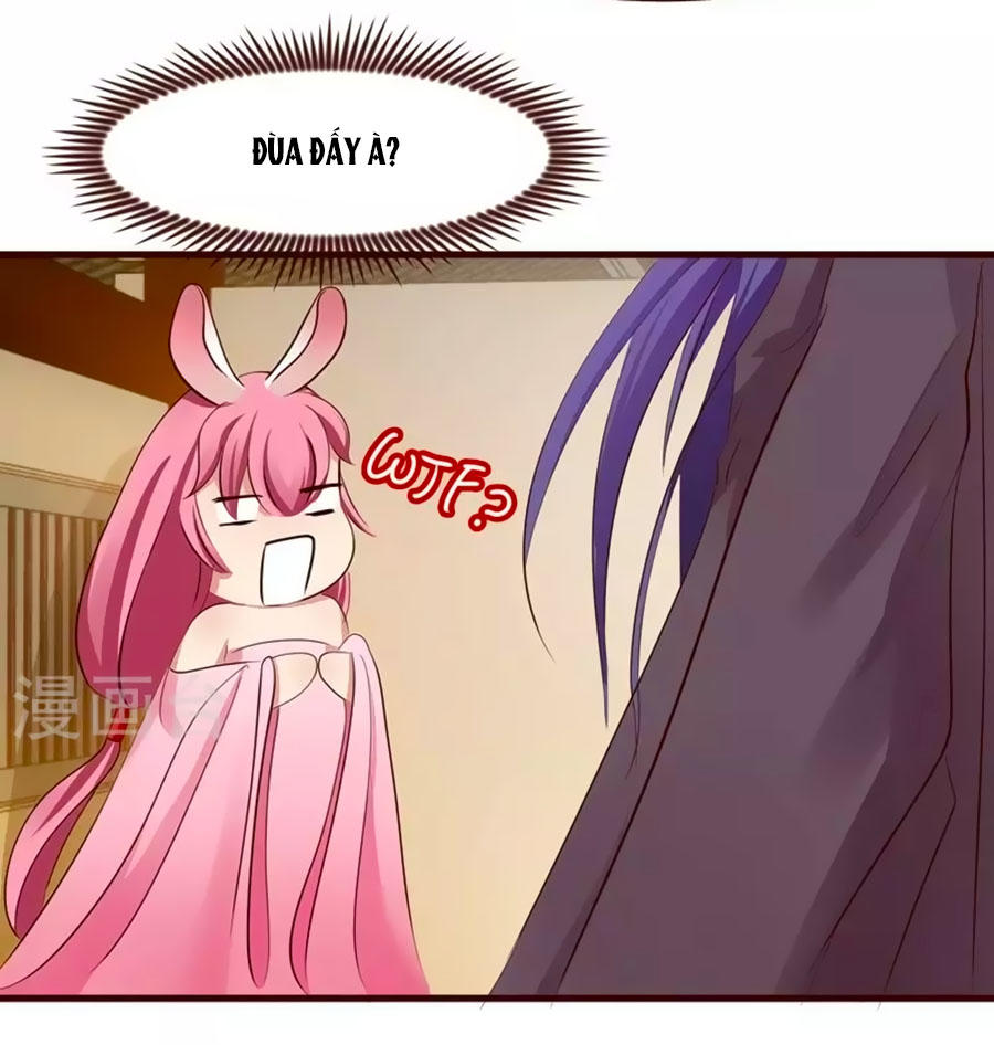 Thỏ Yêu Tiểu Vương Phi Chapter 4 - Trang 2