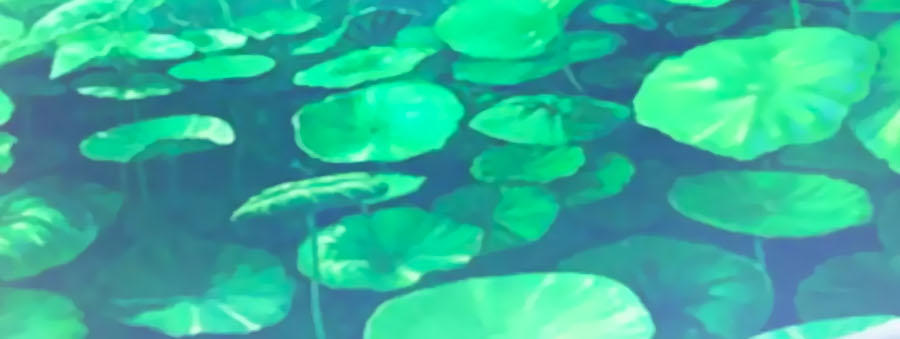 Thỏ Yêu Tiểu Vương Phi Chapter 42 - Trang 2