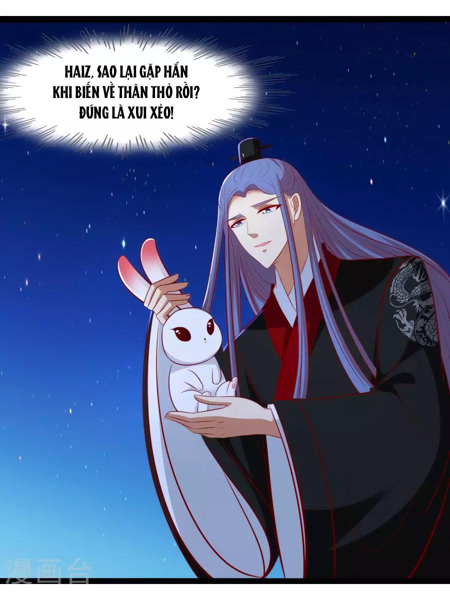 Thỏ Yêu Tiểu Vương Phi Chapter 44 - Trang 2