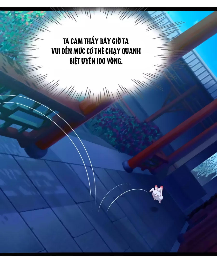 Thỏ Yêu Tiểu Vương Phi Chapter 45 - Trang 2