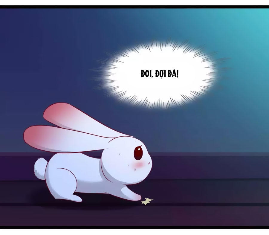 Thỏ Yêu Tiểu Vương Phi Chapter 45 - Trang 2