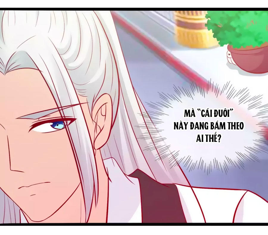 Thỏ Yêu Tiểu Vương Phi Chapter 49 - Trang 2