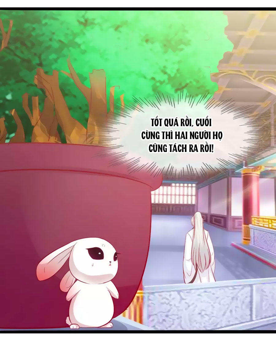 Thỏ Yêu Tiểu Vương Phi Chapter 49 - Trang 2