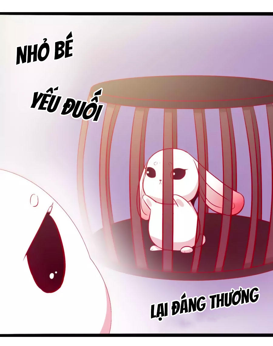 Thỏ Yêu Tiểu Vương Phi Chapter 49 - Trang 2