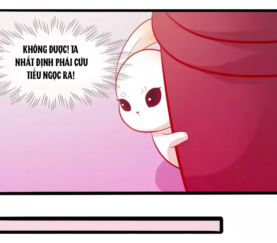 Thỏ Yêu Tiểu Vương Phi Chapter 49 - Trang 2