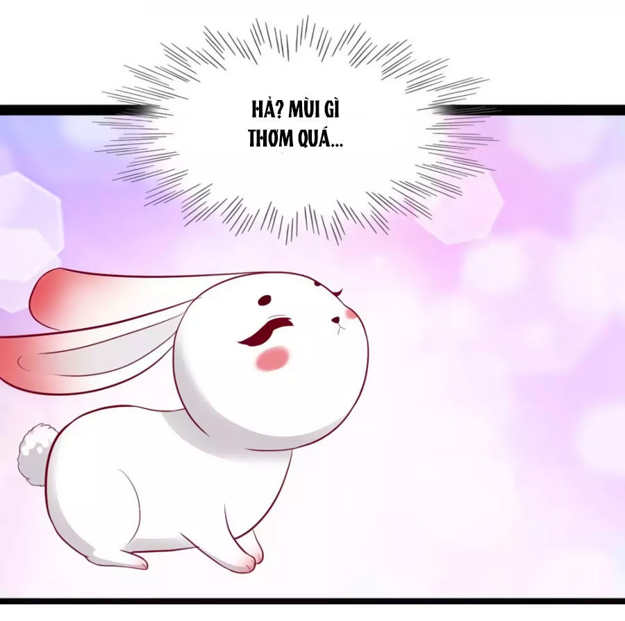 Thỏ Yêu Tiểu Vương Phi Chapter 49 - Trang 2