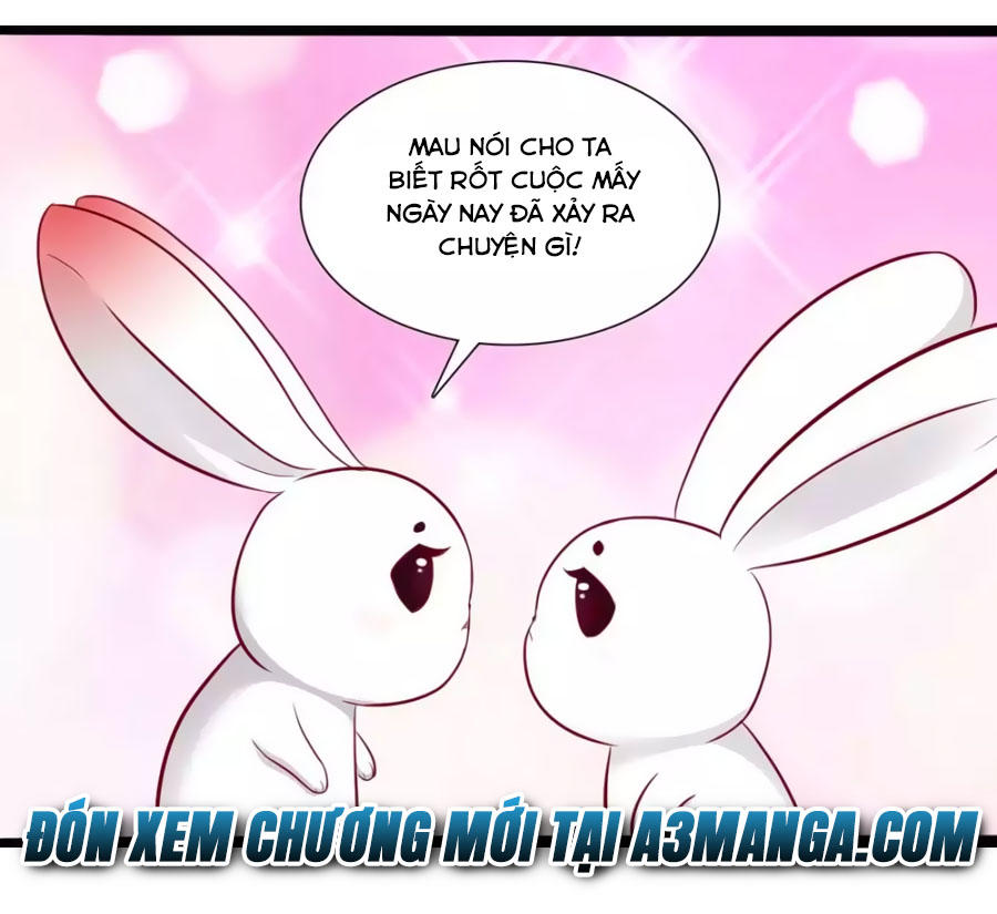 Thỏ Yêu Tiểu Vương Phi Chapter 49 - Trang 2