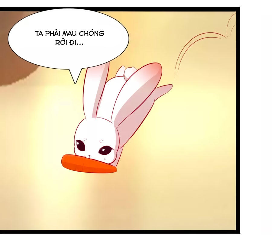 Thỏ Yêu Tiểu Vương Phi Chapter 50 - Trang 2