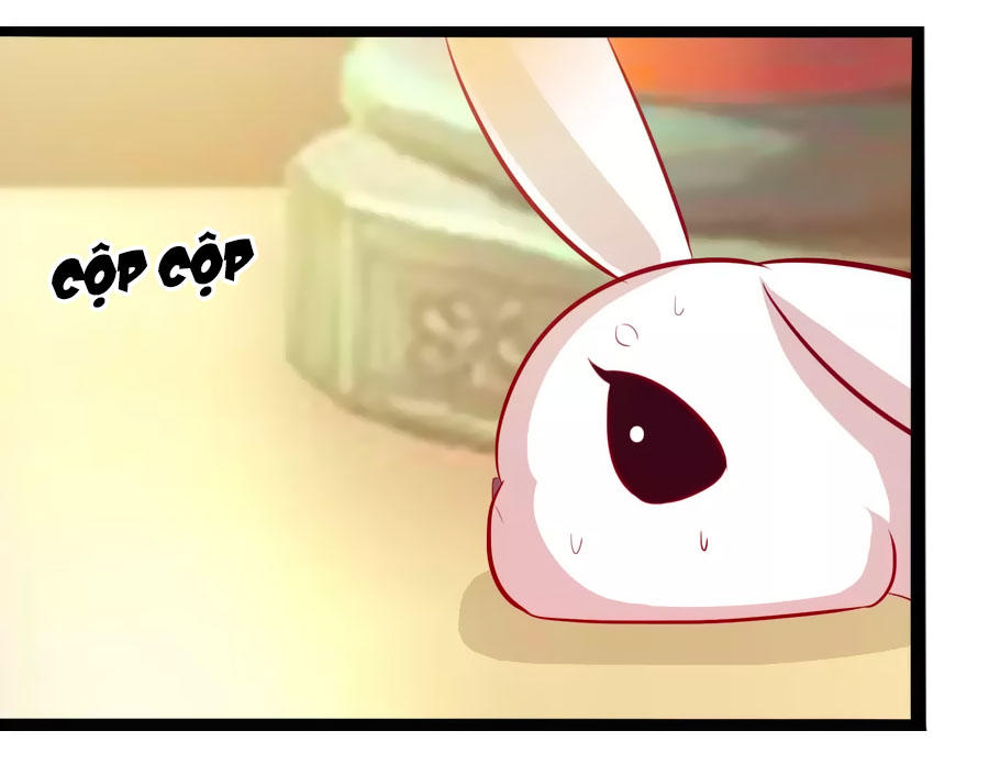 Thỏ Yêu Tiểu Vương Phi Chapter 50 - Trang 2