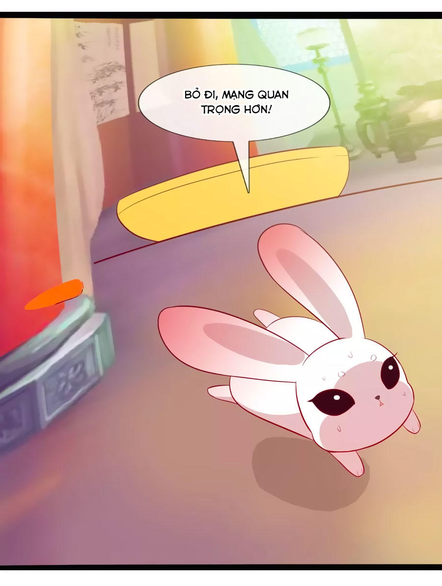 Thỏ Yêu Tiểu Vương Phi Chapter 50 - Trang 2