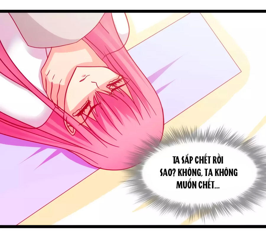 Thỏ Yêu Tiểu Vương Phi Chapter 53 - Trang 2