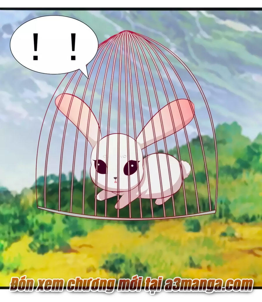 Thỏ Yêu Tiểu Vương Phi Chapter 54 - Trang 2