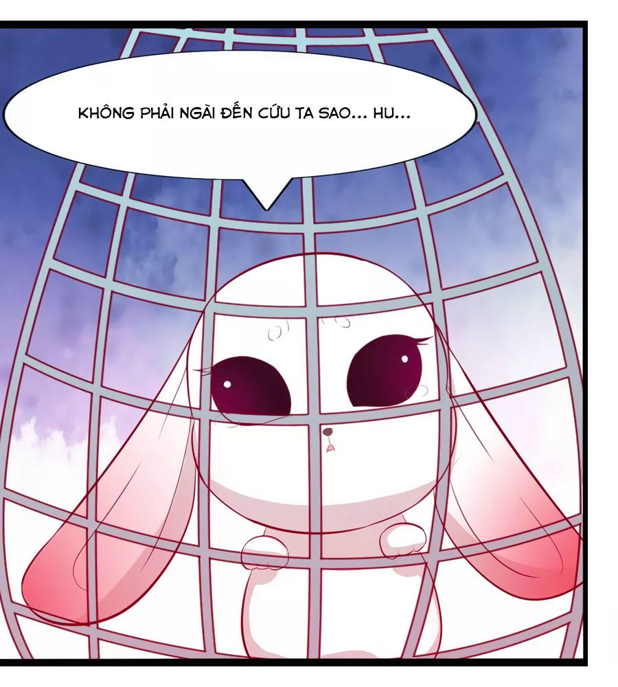 Thỏ Yêu Tiểu Vương Phi Chapter 54 - Trang 2