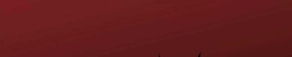 Thời Kỳ Tận Thế Chapter 2 - Trang 2