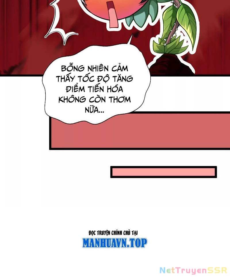 Thôn Phệ Đi, Đại Chùy Hoa Chapter 1 - Trang 2