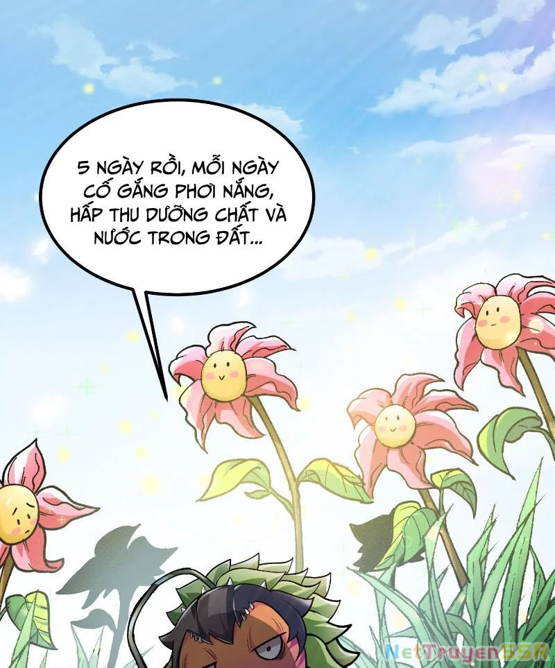 Thôn Phệ Đi, Đại Chùy Hoa Chapter 1 - Trang 2