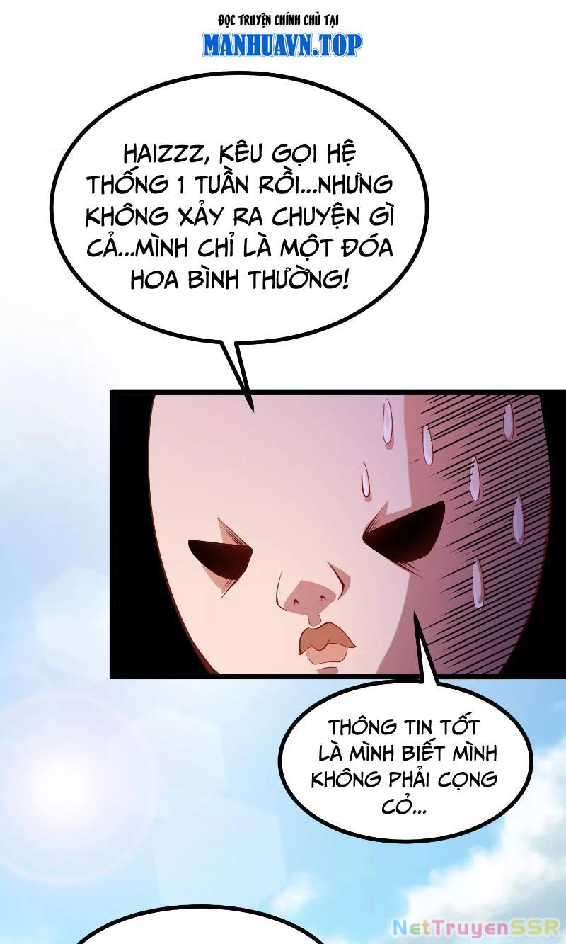 Thôn Phệ Đi, Đại Chùy Hoa Chapter 1 - Trang 2