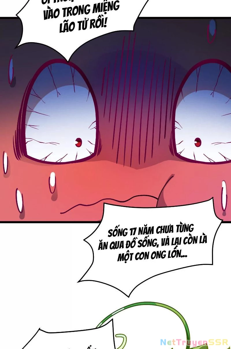 Thôn Phệ Đi, Đại Chùy Hoa Chapter 1 - Trang 2