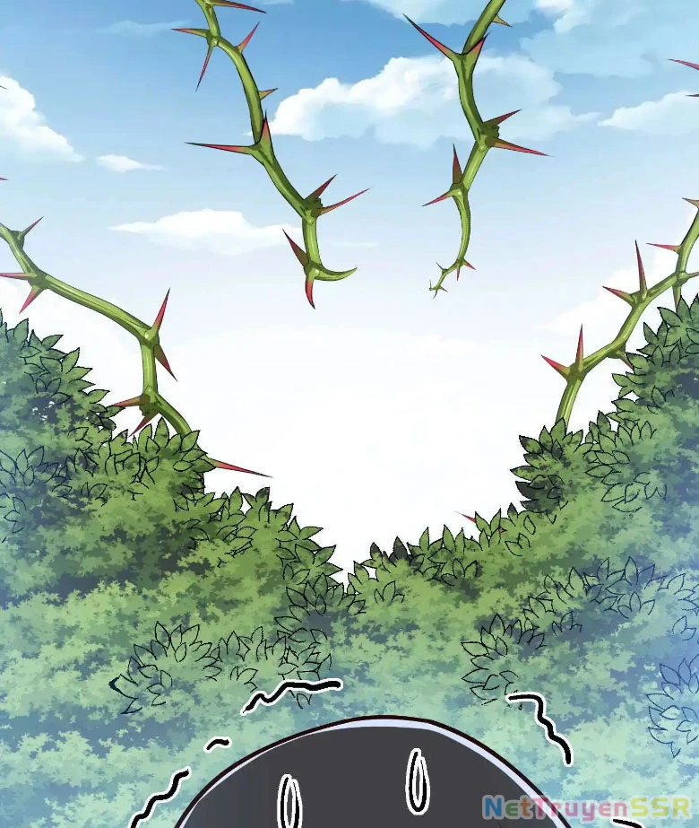 Thôn Phệ Đi, Đại Chùy Hoa Chapter 11 - Trang 2